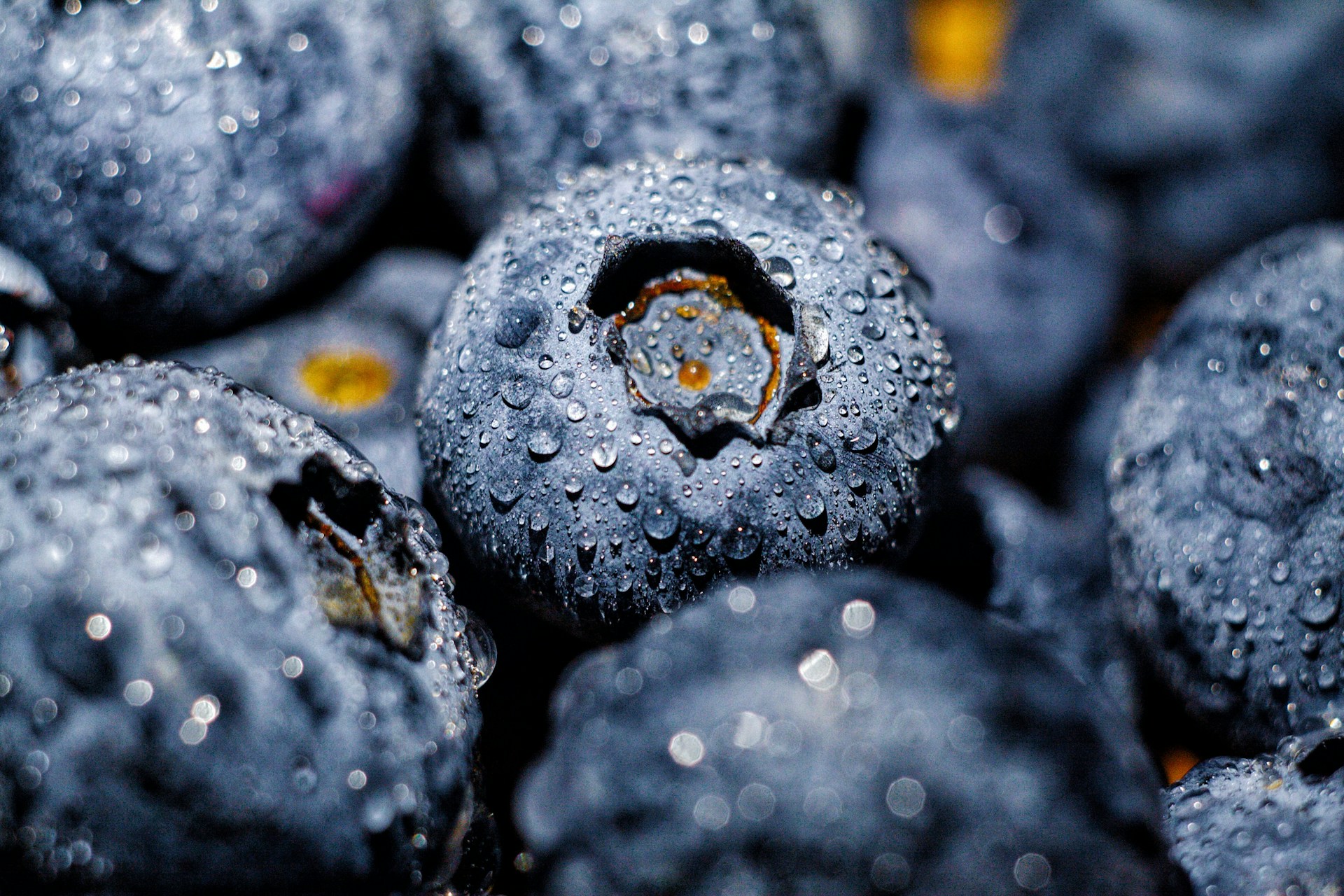 How long do blueberries last in the fridge